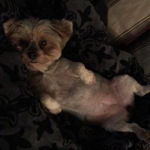 Meet your Posher, Richelle